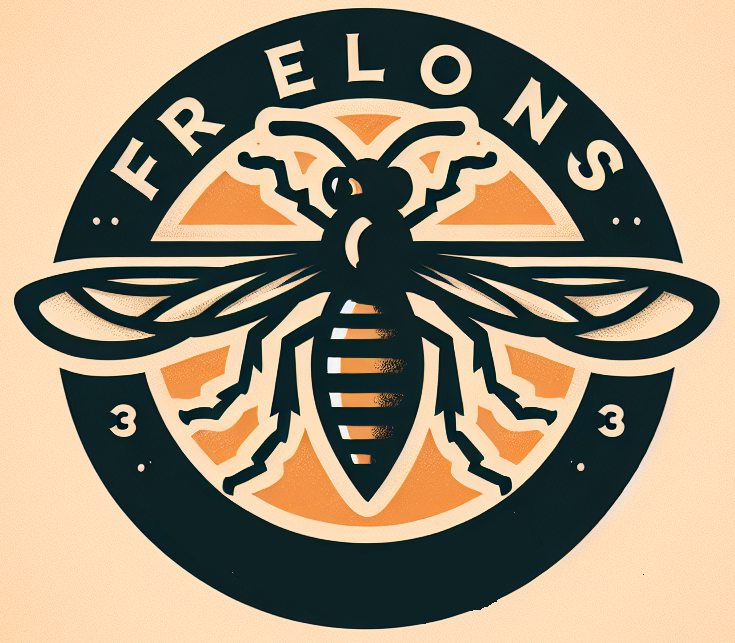Logo Bordeaux Frelons Guêpes